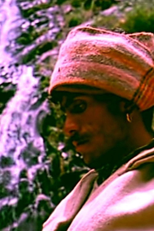 Gaddis (1970) poster