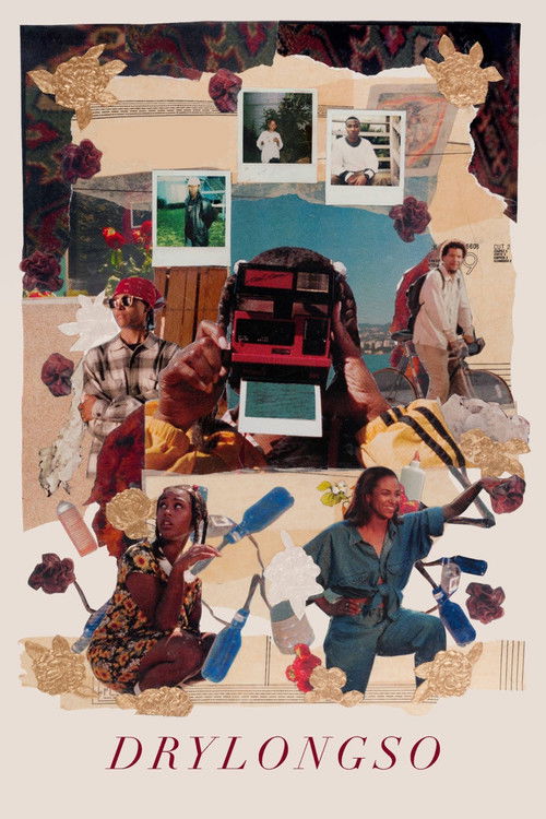Drylongso (1999) poster