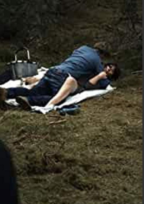 Udflugt (2010) poster