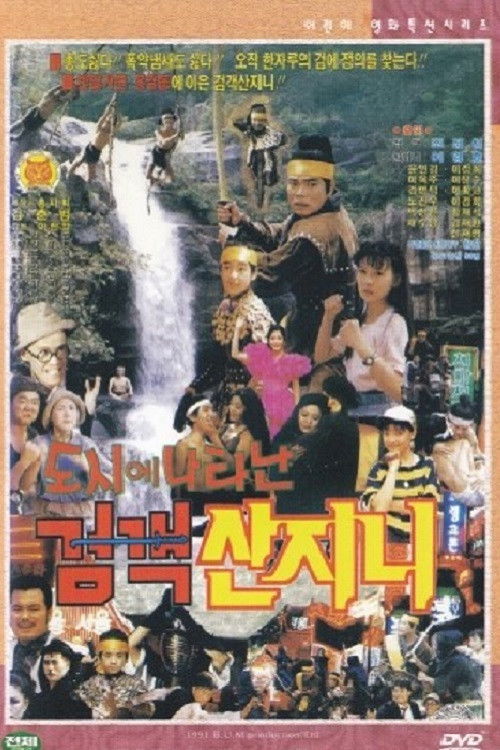 Swordsman San Ji-Ni Appeared in the City (1991) poster