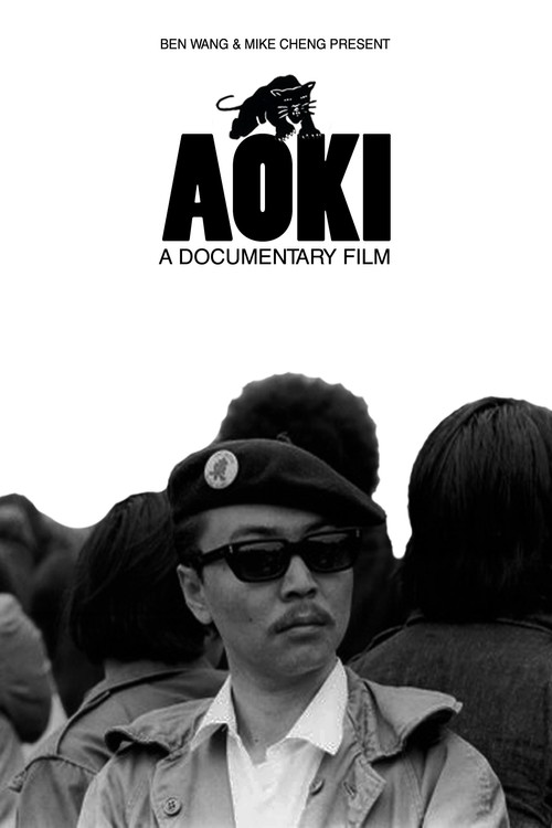 Aoki (2009) poster