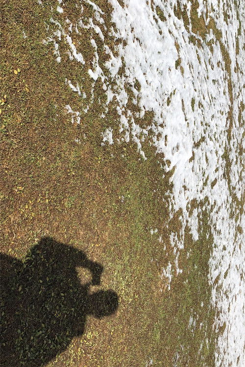 Diary without Words 2018 (2019) poster