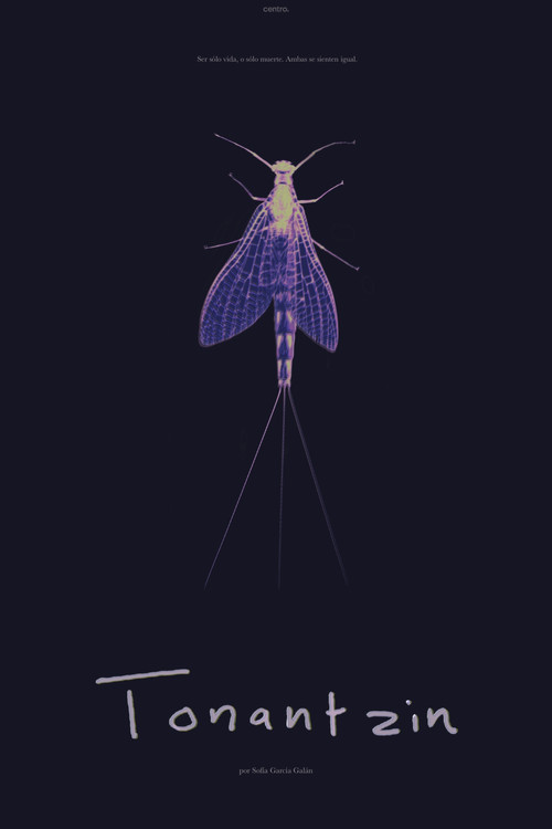 Tonantzin (2024) poster