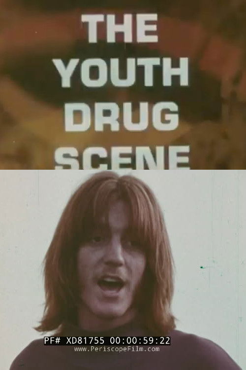 The Youth Drug Scene (1970) poster