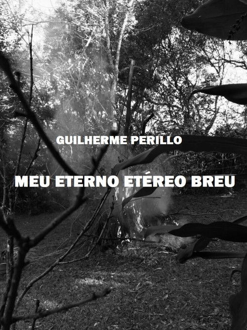 Meu Eterno Etéreo Breu (2019) poster