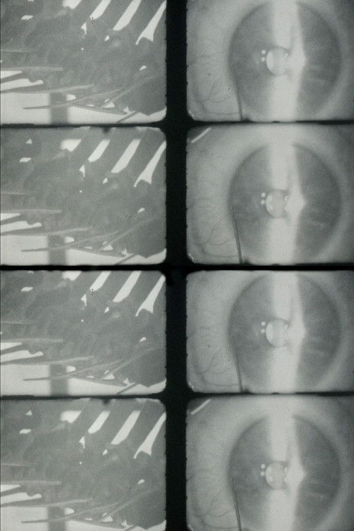 It's under the flesh where you are tender (2024) poster