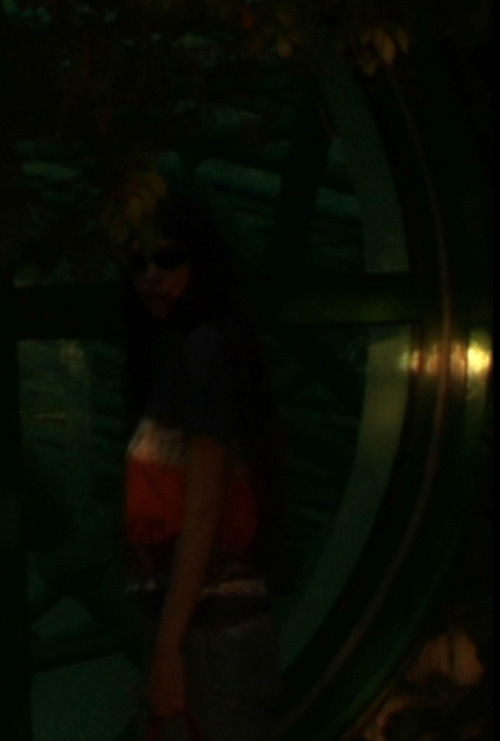 Waning (2024) poster