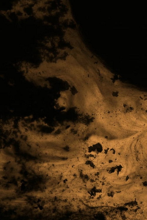 Under The Sun (2018) poster