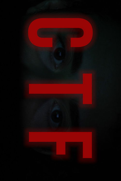 CTF (2024) poster