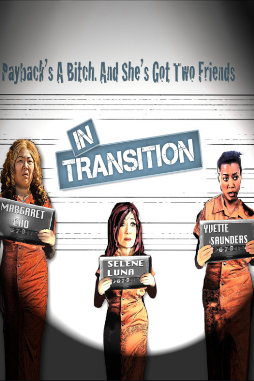 In Transition (2013) poster