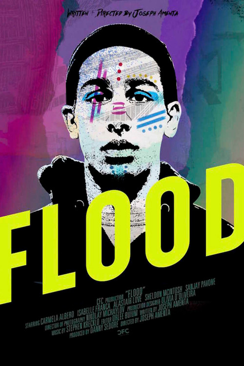 Flood (2019) poster