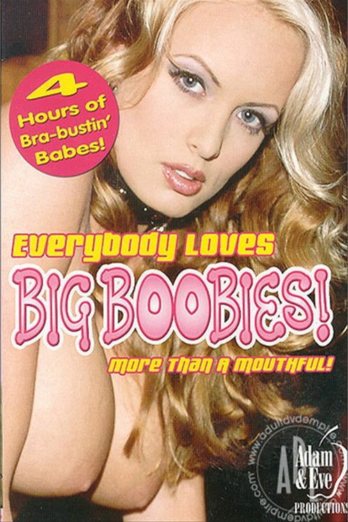 Everybody Loves Big Boobies (2004) poster