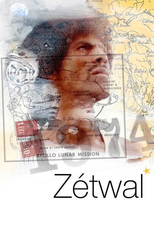 Twinkl (2008) poster
