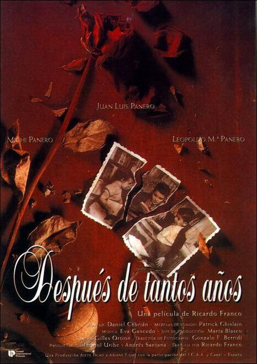 After All These Years (1994) poster