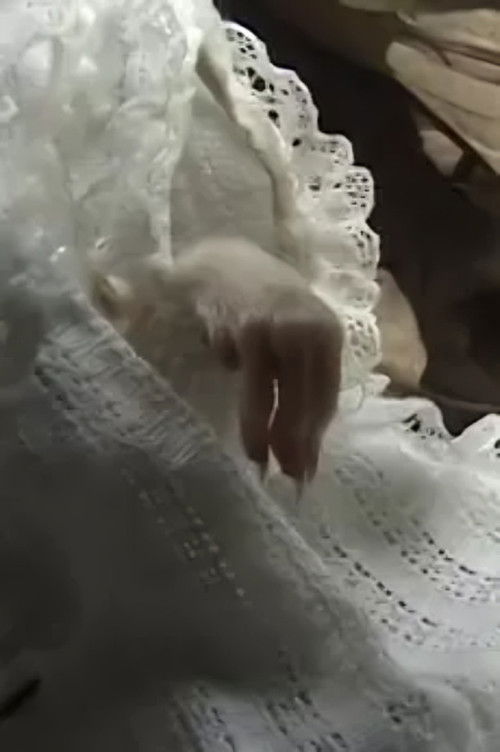 All About a Girl (2004) poster