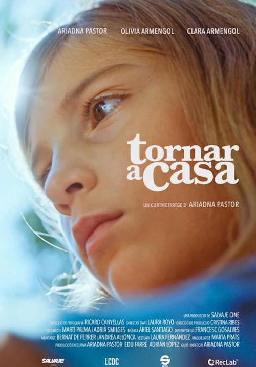Tornar a casa (2022) poster