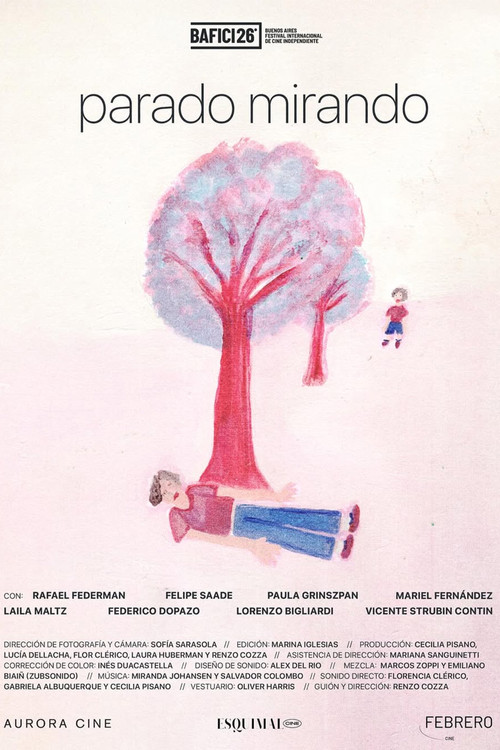 Parado mirando (2025) poster