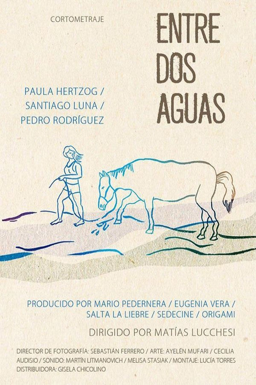 Entre dos aguas (2018) poster