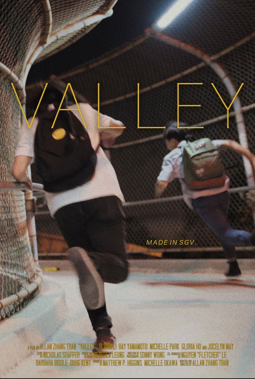 Valley (2020) poster
