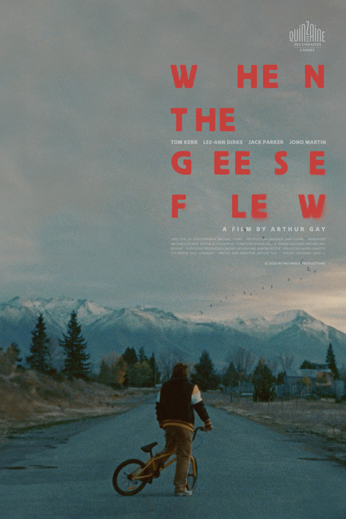 When the Geese Flew (2025) poster
