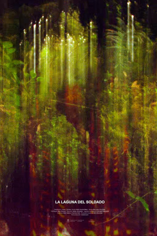 La Laguna del Soldado (2024) poster