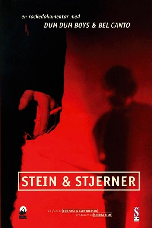 Stein & stjerner (1994) poster