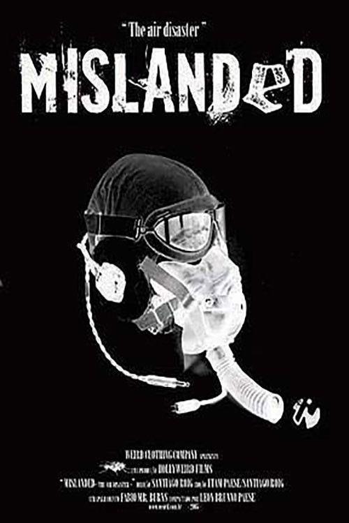 Mislanded: The Air Disaster (2006) poster