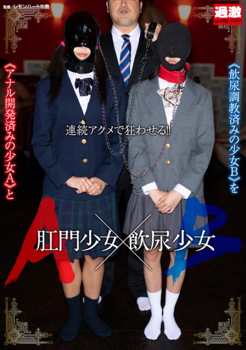 NHDTB-358 Anal Girl A X Drinking Urine Girl B (2020) poster