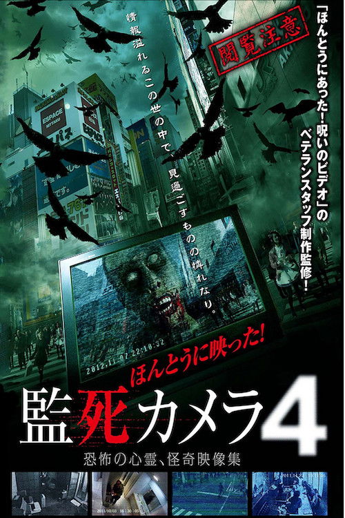 Paranormal Surveillance Camera 4 (2013) poster
