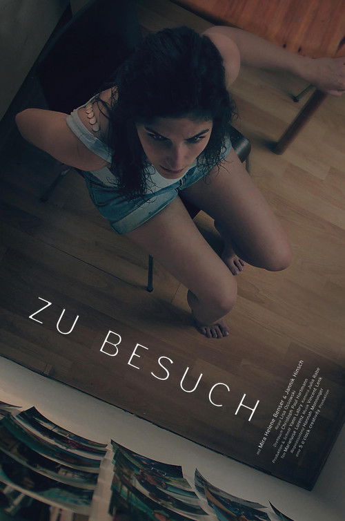 Visiting (2016) poster