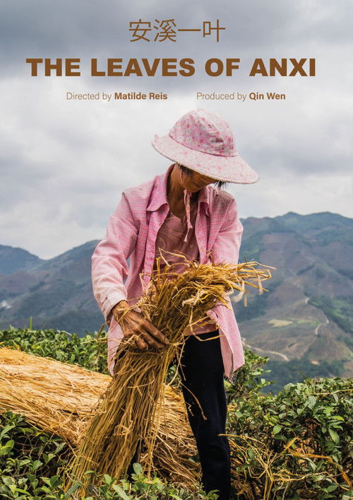 The Leaves of Anxi (2024) poster