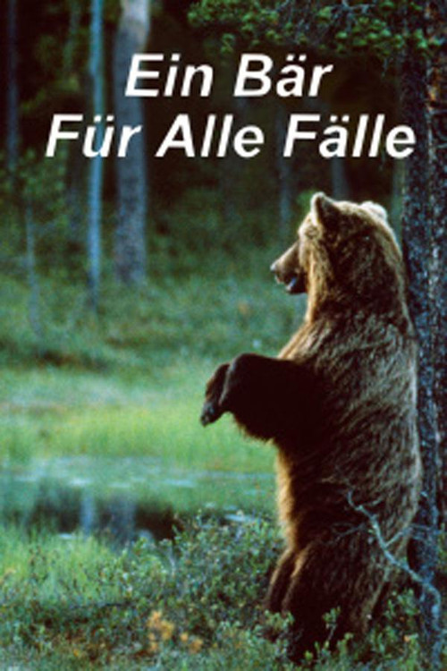Ein Bär für alle Fälle (1998) poster