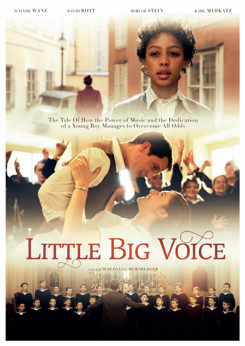Little Big Voice (2015) poster