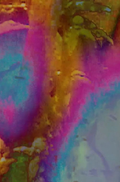 MY PHANTOM LIMB (2025) poster