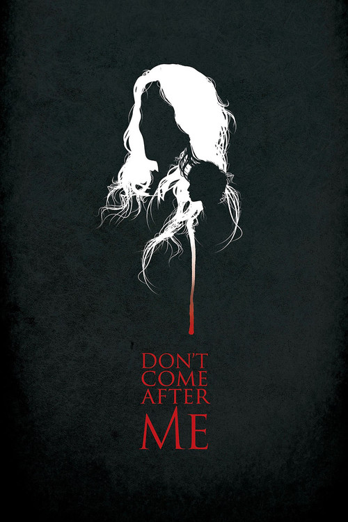 Don't Come After Me poster