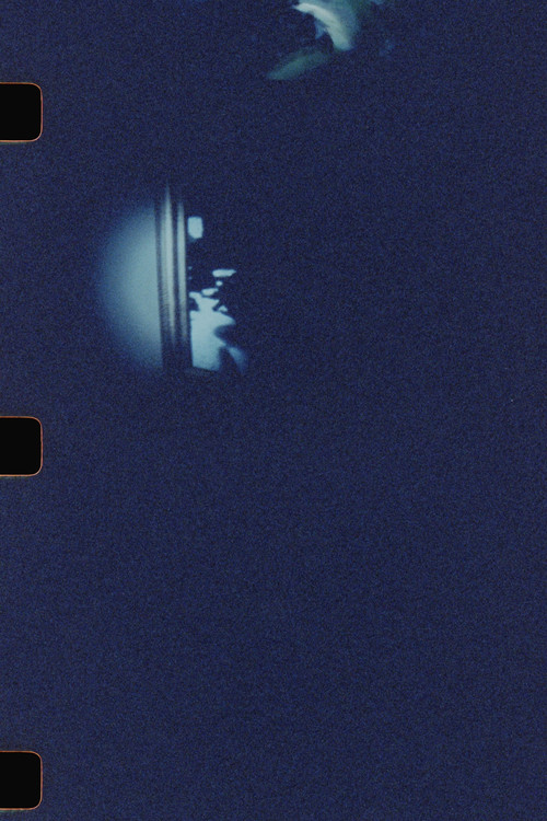 untitled (archive) (2025) poster