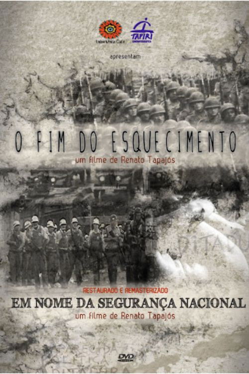 O Fim do Esquecimento (2013) poster