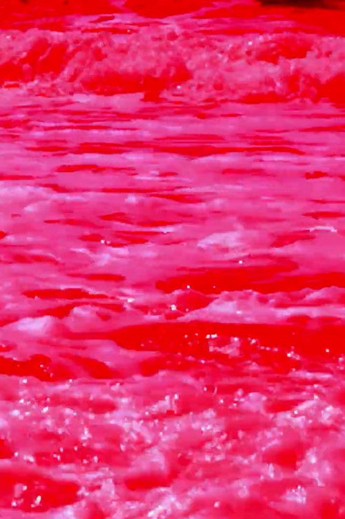 -Pursuit.Bracmano.: Fate Entrare le Formiche! (2021) poster