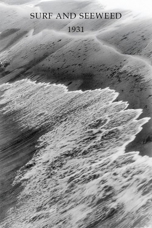 Surf and Seaweed (1931) poster