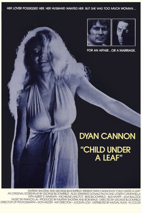 Child Under a Leaf (1974) poster