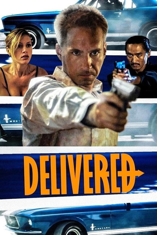 Delivered (2011) poster