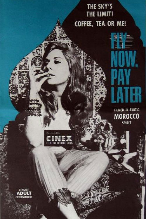 Fly Now, Pay Later (1969) poster