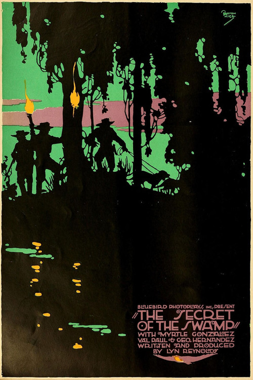 The Secret of the Swamp (1916) poster