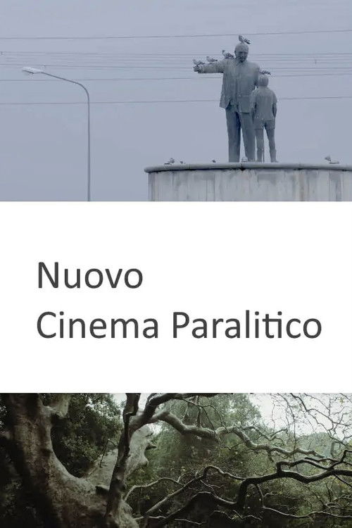 Nuovo cinema paralitico (2020) poster