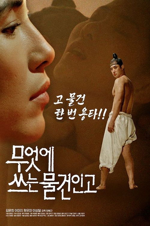 무엇에 쓰는 물건인고 (1993) poster