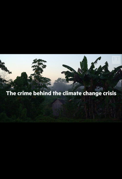 The crime behind the Amazon climate change crisis (2019) poster