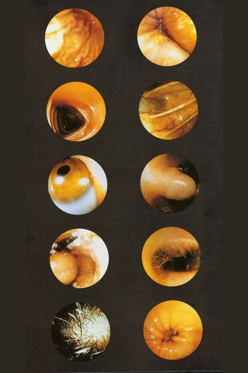 Corps Étranger (1994) poster