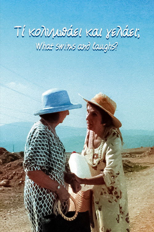 What swims and laughs? (2003) poster