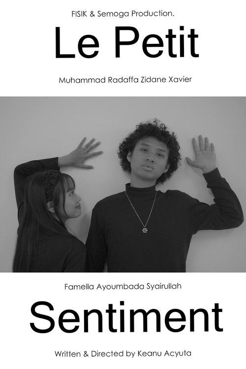 Le Petit Sentiment (2024) poster