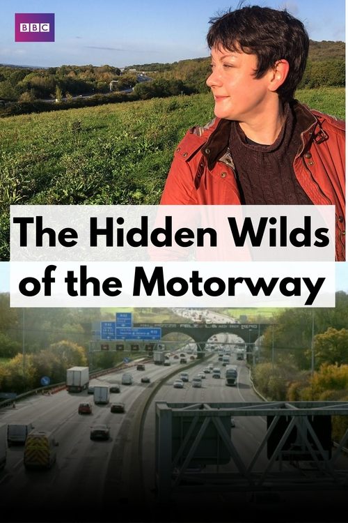 The Hidden Wilds of the Motorway (2020) poster